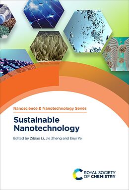 eBook (epub) Sustainable Nanotechnology de 