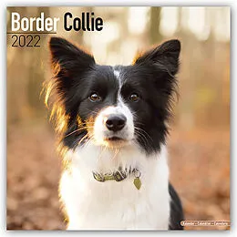 Kalender Border Collie 2022 Wall Calendar von Avonside Publishing Ltd