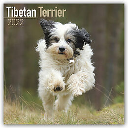 Kalender Tibetan Terrier 2022 Wall Calendar von Avonside Publishing