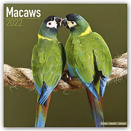 Kalender Macaws 2022 Wall Calendar von Avonside Publishing Ltd