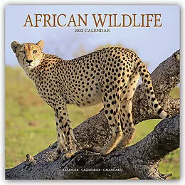 Kalender African Wildlife 2022 Wall Calendar von Avonside Publishing Ltd