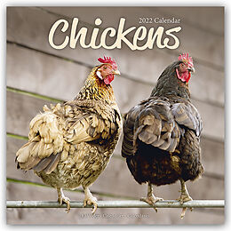 Kalender Chickens 2022 Wall Calendar von Avonside Publishing Ltd
