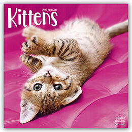 Kalender Kittens 2022 Wall Calendar von Avonside Publishing Ltd