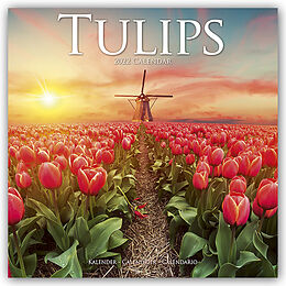 Kalender Tulips 2022 Wall Calendar von Avonside Publishing Ltd