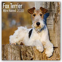 Geheftet Fox Terrier Wirehaired - Drahthaar Foxterrier 2022 - 16-Monatskalender von Avonside Publishing Ltd