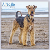 Geheftet Airedale Terrier 2023 - 16-Monatskalender von Avonside Publishing