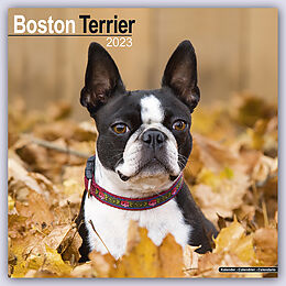 Kalender Boston Terrier 2023 Wall Calendar von 
