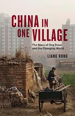 E-Book (epub) China in One Village von Liang Hong