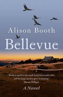 E-Book (epub) Bellevue von Alison Booth