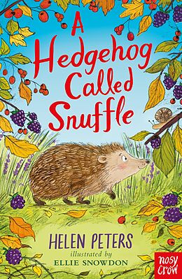 eBook (epub) A Hedgehog Called Snuffle de Helen Peters