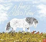 Fester Einband A Horse Called Now von Ruth Doyle