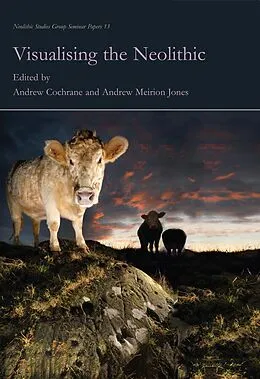 E-Book (pdf) Visualising the Neolithic von Andrew Cochrane, Andrew Meirion Jones