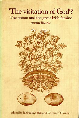 E-Book (epub) The Visitation of God von Austin Bourke