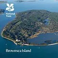 E-Book (epub) Brownsea Island von Clare Gogerty