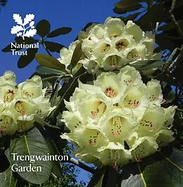 E-Book (epub) Trengwainton Garden von Katherine Lambert