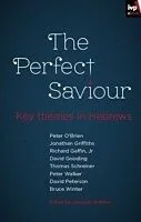 E-Book (epub) The Perfect Saviour von Jonathan Griffiths