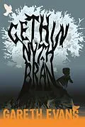 E-Book (epub) Gethin Nyth Bran von Gareth Evans