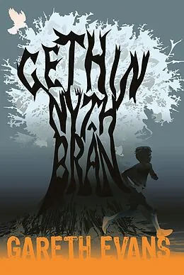 E-Book (epub) Gethin Nyth Bran von Gareth Evans