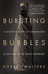 E-Book (epub) Bursting Bubbles von Robert Walters