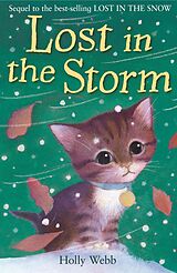 eBook (epub) Lost in the Storm de Holly Webb