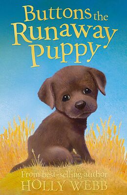 eBook (epub) Buttons the Runaway Puppy de Holly Webb