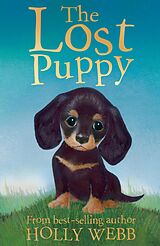 eBook (epub) The Lost Puppy de Holly Webb