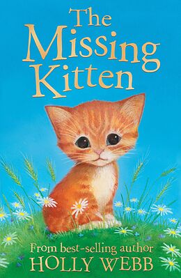 eBook (epub) The Missing Kitten de Holly Webb