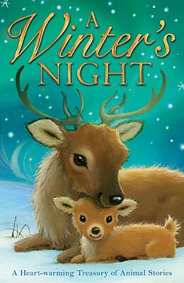 eBook (epub) A Winter's Night de Various