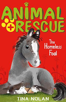 eBook (epub) The Homeless Foal de Tina Nolan