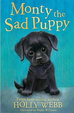 eBook (epub) Monty the Sad Puppy de Holly Webb