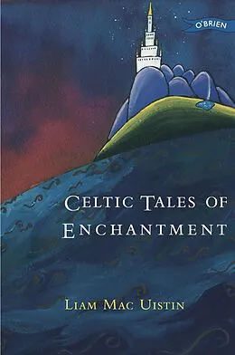 E-Book (epub) Celtic Tales of Enchantment von Liam Mac Uistin