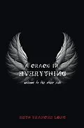 E-Book (epub) A Crack in Everything von Ruth Frances Long