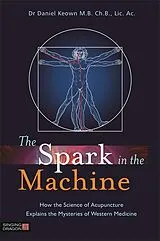 Kartonierter Einband (Kt) The Spark in the Machine von Daniel Keown