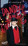 E-Book (epub) Dandy in the Underworld von Tim Fountain