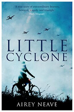 eBook (epub) Little Cyclone de Airey Neave