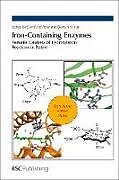 Livre Relié Iron-Containing Enzymes de Samuel P (University of Manchester, Uk) De Visser