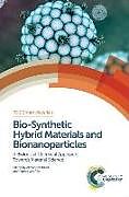 Fester Einband Bio-Synthetic Hybrid Materials and Bionanoparticles von Alexander (Rwth Aachen University) Van Rijn Boker