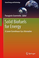 E-Book (pdf) Solid Biofuels for Energy von Panagiotis Grammelis