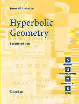 Kartonierter Einband Hyperbolic Geometry von James W Anderson