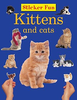 Kartonierter Einband Sticker Fun: Kittens and Cats: With Over 50 Reusable Stickers von Armadillo Press