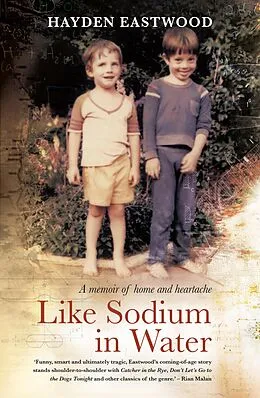 E-Book (epub) Like Sodium in Water von Hayden Eastwood