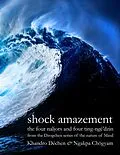 E-Book (epub) Shock Amazement von Ngakpa Chögyam, Khandro Déchen