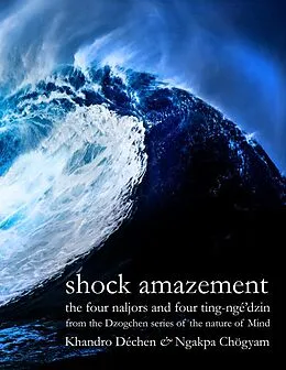 E-Book (epub) Shock Amazement von Ngakpa Chögyam, Khandro Déchen