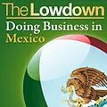 E-Book (epub) Lowdown: Doing Business in Mexico von Christopher West