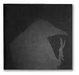 Fester Einband Ravens von Fukase Masahisa