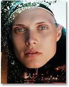 Fester Einband The Model von 