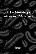 E-Book (epub) To Kill a Mockingbird Classroom Questions von Amy Farrell
