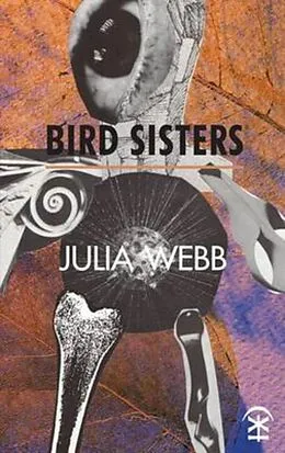 E-Book (epub) Bird Sisters von Julia Webb