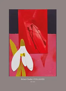 E-Book (epub) Brian Clarke von Hans Ulrich Obrist