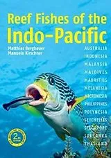 Kartonierter Einband (Kt) Reef Fishes of the Indo-Pacific (2nd edition) von Dr Matthias Bergbauer, Manuela Kirschner